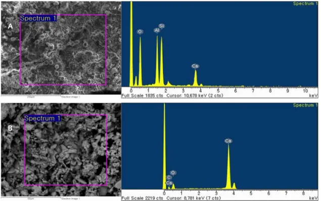 Figure 3. Microstructure and chemical composition analytical results of ground layer on burial chamber(West wall)