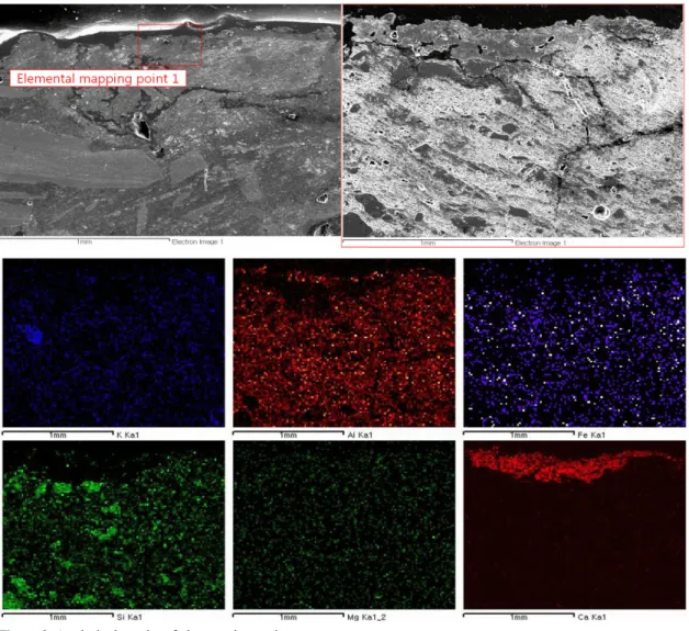 Figure 8. Analytical results of elemental mapping.