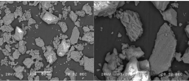 Figure 10. Shapes of particles that compose the mortar(SEM).되어 있어 성분과 결정상만으로는 석회와의 구분이 어렵지만,  패각 입자의 고규형태를 지니고 있다