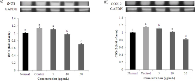 Fig. 7. Effect of protocatechuic acid on mRNA expression of iNOS (A) and COX-2 (B) under LPS plus IFN-γ induced neuroinflammation in  C6  glial  cell
