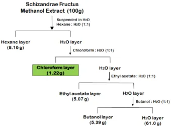 Fig. 1. Purification procedure for the fractions isolated from Schizandrae fructus.만성기침,  발한과다,  갈증,  기력저하  및  유정(遺精),  활정(滑精) 등의 증상에 生脈散, 醒心散, 淸心補血湯 등의 처방을 통해 활용하였음을 확인할 수 있다10,11).오미자에  관한  연구를  살펴보면  항산화  및  혈당강하12), 항염증 및 간보호 효과13) 등의 생리 활성이 보고되었으며, 특히