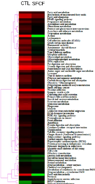 Fig. 12. Pathway activity profile of microarray. Red, green, and black  color  represent  up-regulation,  down-regulation,  and  no  change  of  gene  expression,  respectively