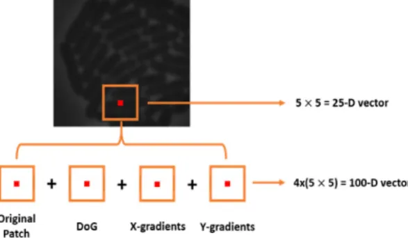 Fig. 3. Hybrid vector structure with original patches,  Gaussian differences, and gradient blends.