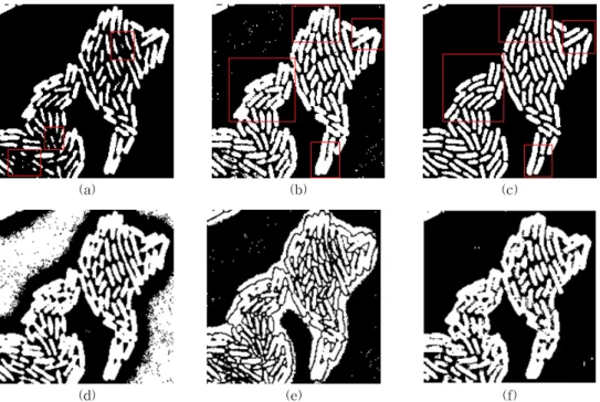 Fig. 8. E. coli result. (a) original input vector, (b) proposed method (Softmax classifier), (c) proposed method (Softmax  classifier + graph segmentation), (d) Dynamic Threshold (Otsu), (e) Texture function + SVM, (f) Unet