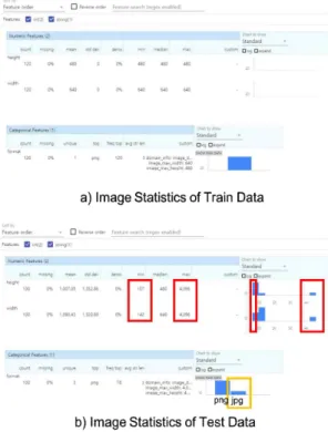 Fig. 9. Image statistics in TensorFlow data validation.