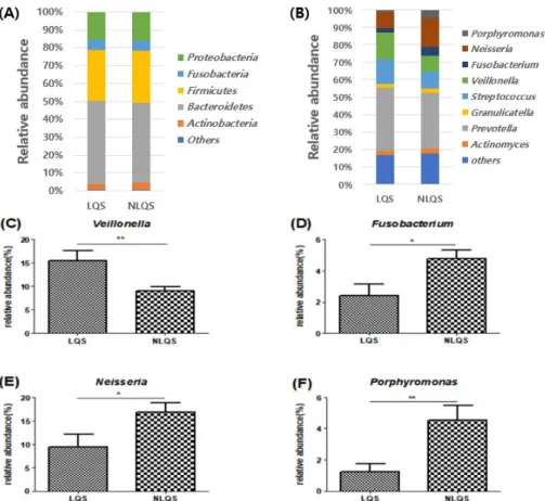 Fig.  4.  Differences  in  oral  microbial  distribution  between  the  groups.  (A)  Realtive  abundance  shown  at  phylum  level,  (B)  realtive  abundance shown at genus level, (C) relative abundance of Veillonella, (D) relative abundance of Fusobacter