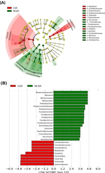 Fig.  5.  The  differences  in  composition  and  relative  abundance  of  oral  microbial  strains  between  the  groups