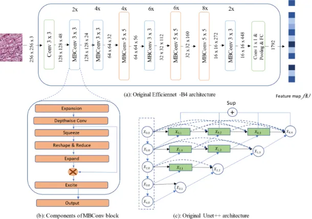 Fig. 3. Original Efficienet-B4 and original Unet++ architecture.
