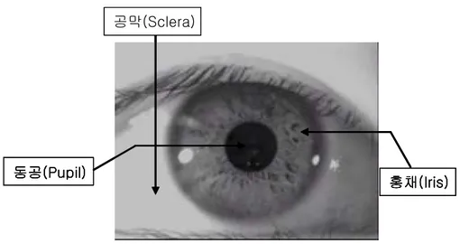 Fig.  1  An  example  of  human  eye동공(Pupil) 홍채(Iris)동공(Pupil)홍채(Iris)공막(Sclera)동공(Pupil)홍채(Iris)동공(Pupil)홍채(Iris)공막(Sclera) 2