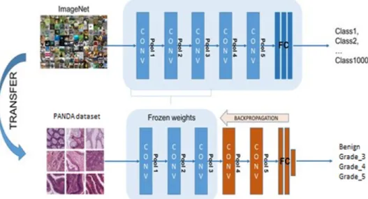 Fig. 2. Transfer learning and fine-tuning technique.