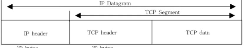 Fig.  3    Encapsulated  TCP  Segment  of  IP  Datagram 