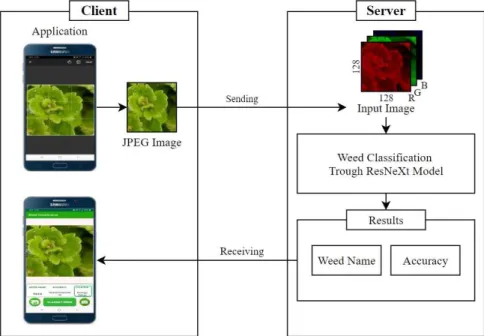 Fig. 1. Framework of proposed weed image recognition system.