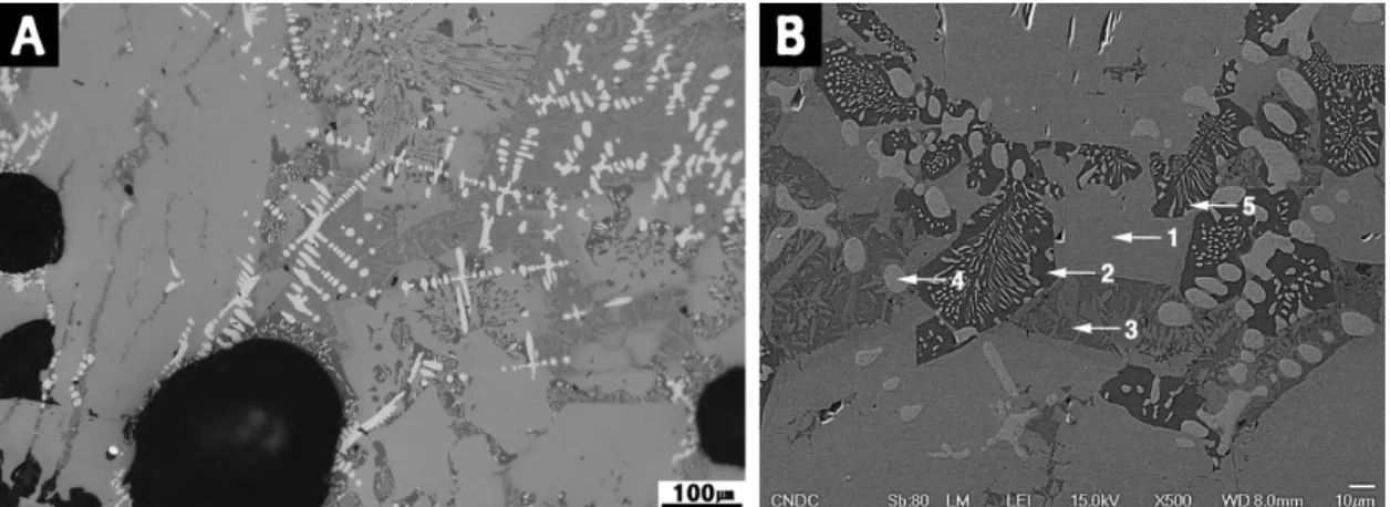 Figure 5. Microstructure of No. 3 slag. (A) Image of metallurgical microscope. (B) SEM image and points of EDS analysis.