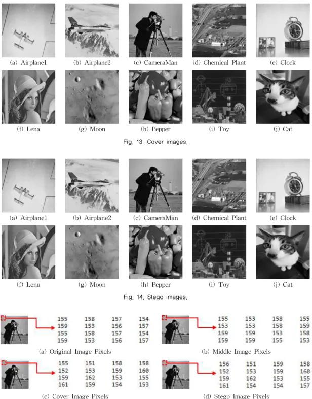 Fig. 13. Cover images. 