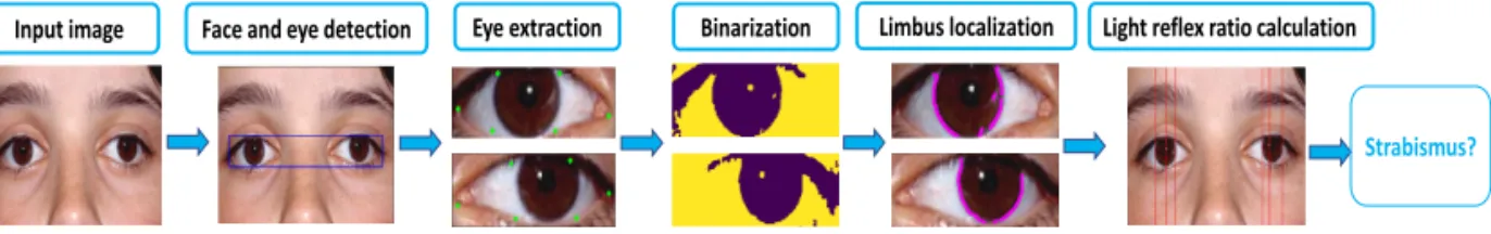 Fig. 2. Overview of the proposed method.