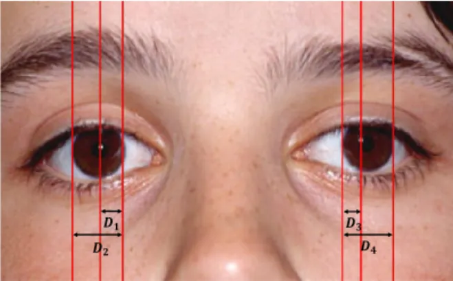 Fig. 5. Visualizing the estimated iris center, where the  red dots represent the iris center.