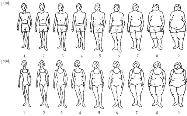 Figure I. Somatotype drawings
