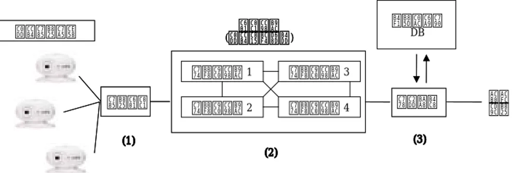 Figure  1.  Processing  Sequence  of  Biometrics