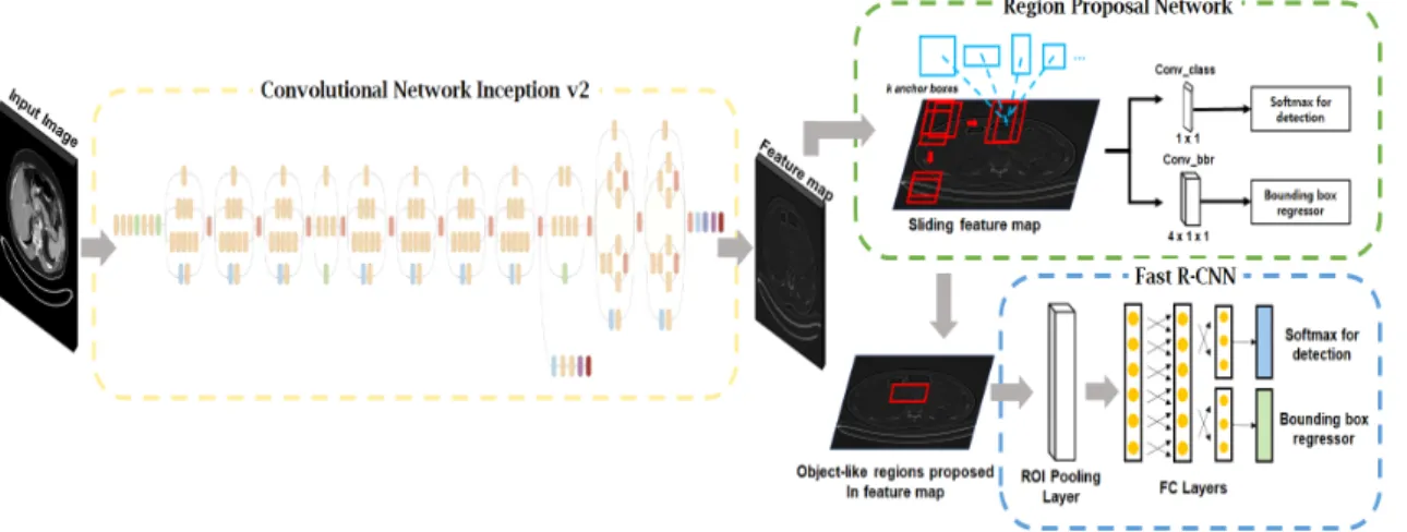 Fig. 4. Network architecture of automatic pancreas detection using Faster R-CNN based on Inception V2.