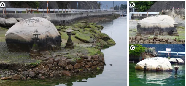 Figure 1. Field occurrence and surrounding environment of Magai Wareiishi jizo. (A) The rock block is adjacent to the sea and situated on the row rock masonry
