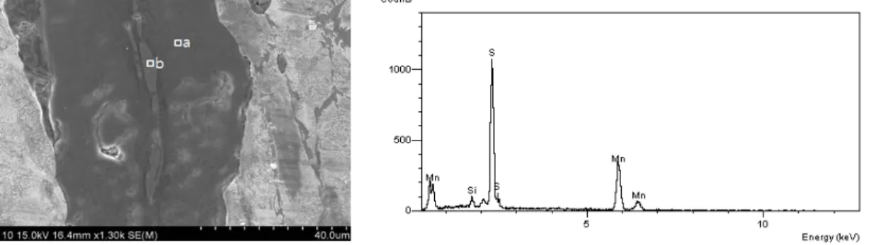 Figure 5. The SEM-EDS results of part “b” of nonmetallic inclusion of Figure 1C.