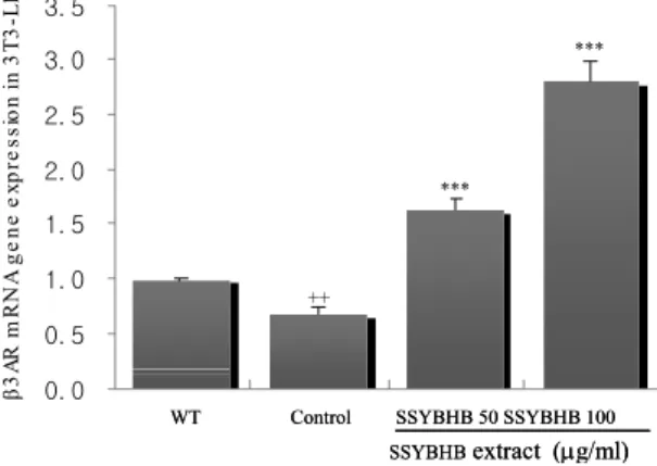Fig.  1.  Cytotoxicity  of  SSYBHB  on  mouse  lung  fibroblast  cells  (mLFCs). 