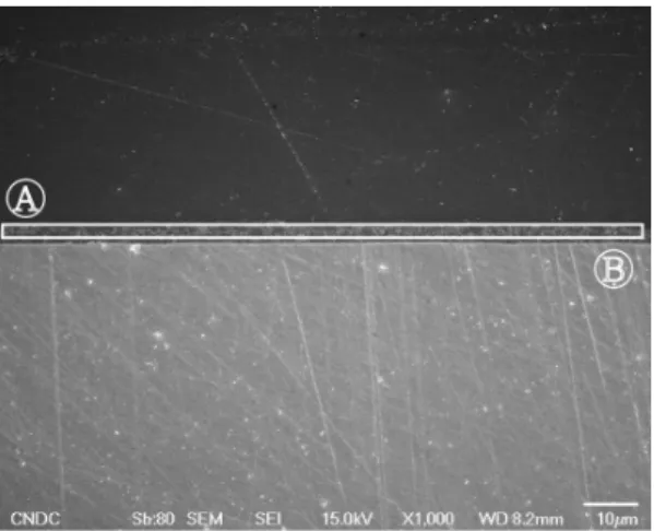 Figure 2. Thickness of oil paint on bronze coupons by SEM.