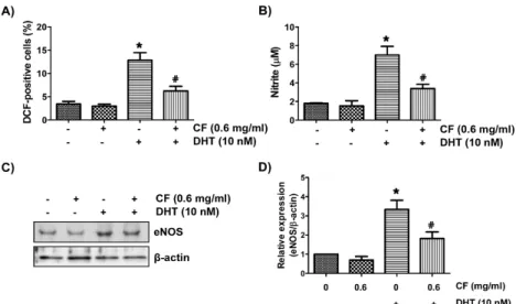 Fig. 5. Effect of CF on the expression of cell cycle and BPH regulators in LNCaP cells