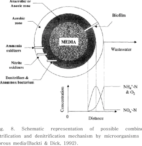Fig.  8.  Schematic  representation  of  possible  combined  nitrification  and  denitrification  mechanism  by  microorganisms  in  porous  media(Backti  &amp;  Dick,  1992).