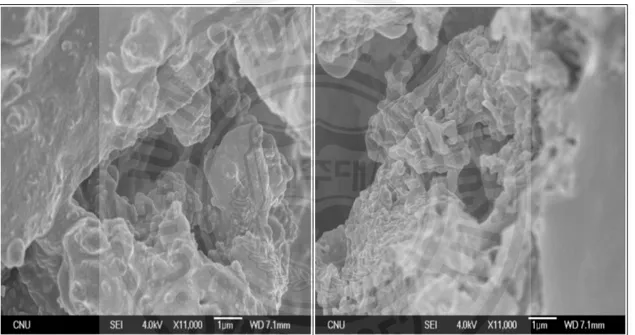 Fig. 4.1. 은 1N-CH 3 COONa 와 1N-NaOH 를 이용 하여 전처리된 흡착제의 SEM 사진이다. 전처리