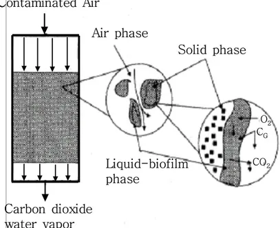 Fig.  1.  Internal  mechanims  of  a  biofilter  (Webster  and  Devinny,  1998).