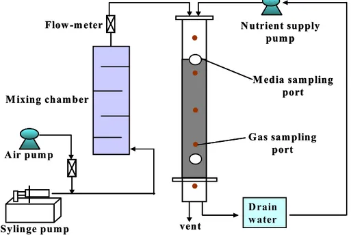 Fig.  3.  Schematic  diagram  of  biofilter  system  in  this  study.