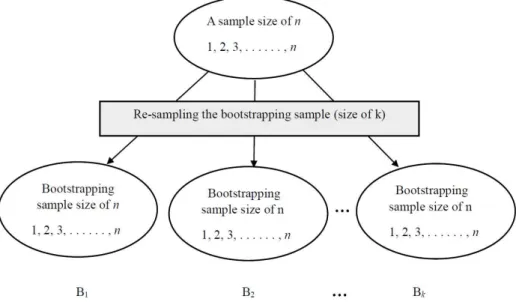 Figure  1.  Framework of the bootstrapping sample.