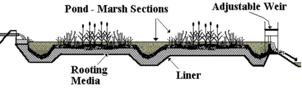 Fig.  1.  Free  water  surface  wetland  design. 