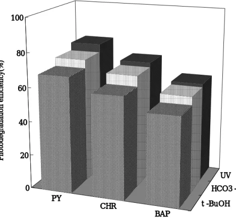 Fig.  8.  Comparison  of  photodegradation  efficiency  of  pyrene,  chrysene  and                       benzo[a]pyrene  after  6  hour  reaction  in  the  different  condition                       (Co  :  200  ㎍/ℓ,  pH  :  6.9,  Temp
