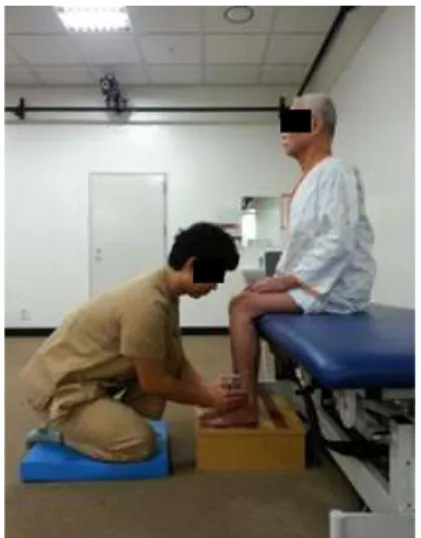 Figure  2.  Knee extensor strength measure.