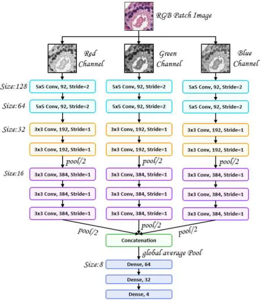 Fig. 3. Multichannel CNN architecture.