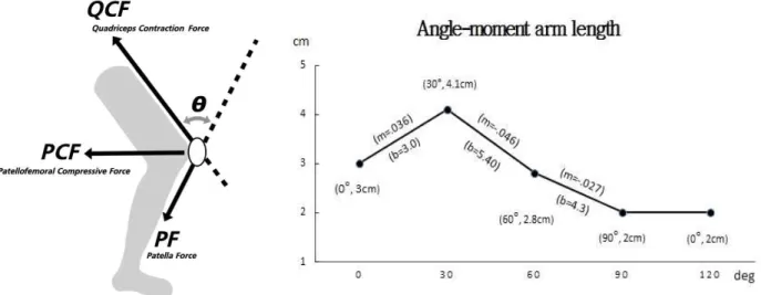 Figure  4.  Calculation of patellofemoral compressive force.