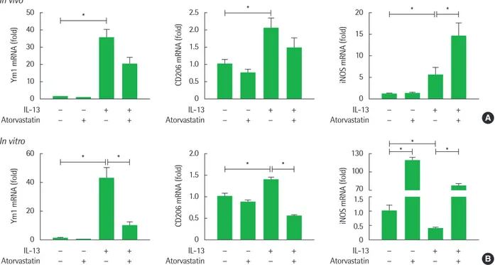 Fig. 4. Effect of atorvastatin on macrophage activation markers in vivo and in vitro (*P&lt; 0.05)