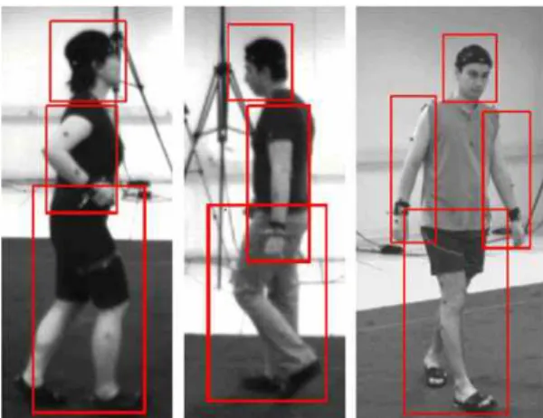 Fig. 1. Human-Body Component Detector proposed in  Section 2.1[11].