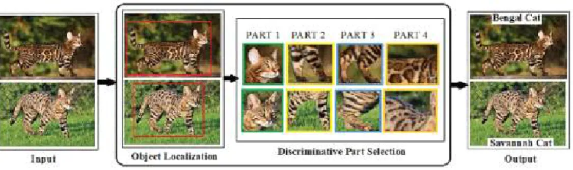Fig. 3. Defining Stroke Elements in Section 2.4 [10].