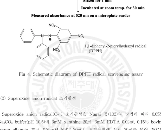 Fig 4. Schematic diagram of DPPH radical scavenging assay