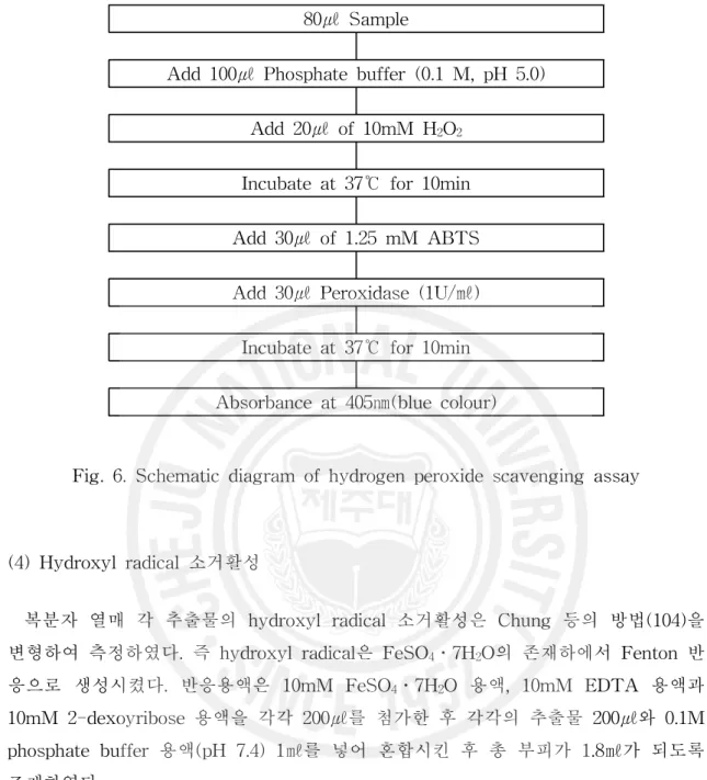Fig. 6. Schematic diagram of hydrogen peroxide scavenging assay