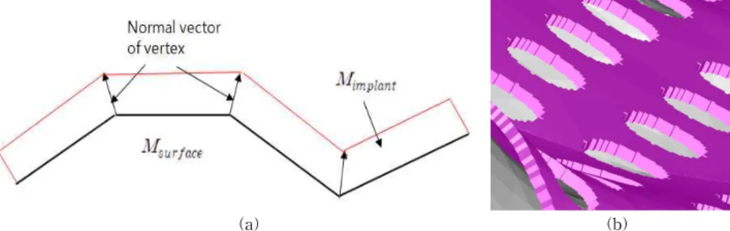 Fig 12. The volume mesh: (a) the concept of making a volume mesh, (b) the volume mesh.