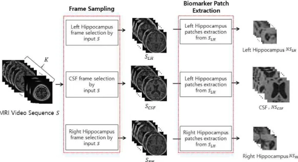 Fig. 3. Visualized example of creating patch image sequences from MRI image sequence; there are three types  of patch image sequences named left hippocampus, CSF, right hippocampus.