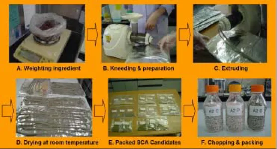 Fig.  3.  Whole  manufacturing  process  of  granular  formulations