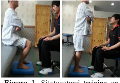 Figure  1.  Sit-to-stand training on unstable surface.