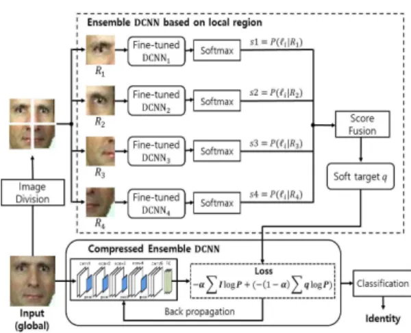 Fig. 1. An overview of the proposed face recognition  framework  which  uses  knowledge  distillation  from an ensemble DCNN based on local facial  region for improving face recognition  perform-ance.