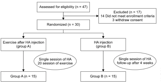 Fig. 1. Flow diagram, showing the  treatment process and assessment. 