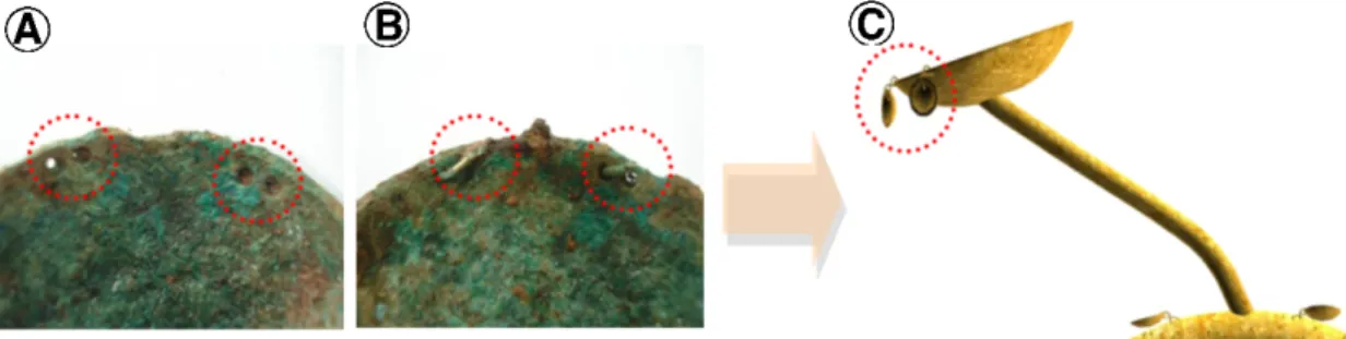 Figure 14. Completed image restoration. Front (A), Back (B), Right (C), Left (D).